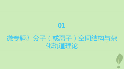 江苏专版 高中化学第二章 微专题3分子或离子空间结构与杂化轨道理论课件新人教版选择性必修2