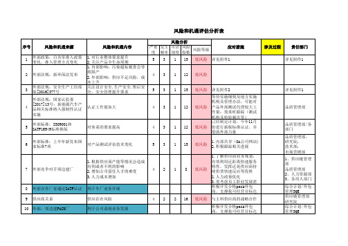 风险和机遇评估分析表