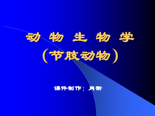 2.11 节肢动物门