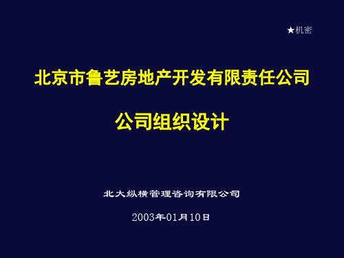 北大纵横组织设计案例