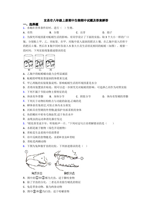 宜昌市八年级上册期中生物期中试题及答案解答