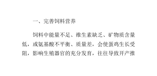 蛋鸡开产推迟的解决方法