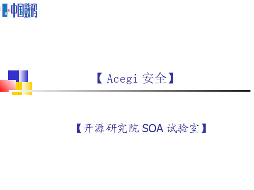 Acegi 知识点文档