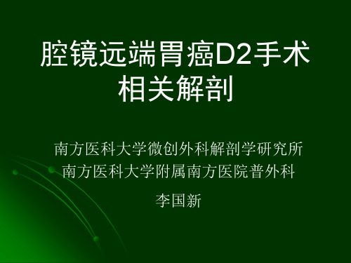 腹腔镜远端胃癌D2手术解剖ppt