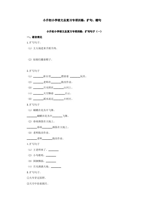 小升初小学语文总复习专项训练：扩句、缩句