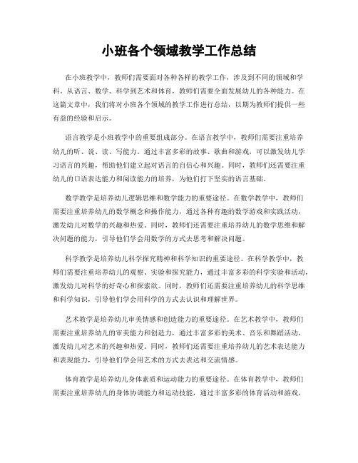 小班各个领域教学工作总结