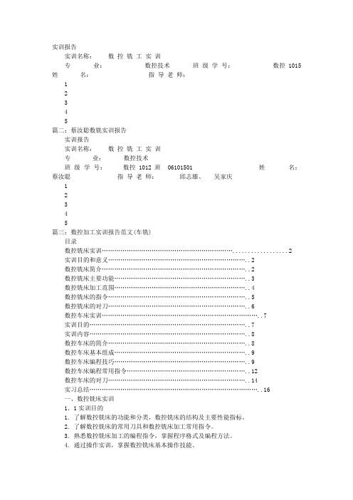 数洗实训报告