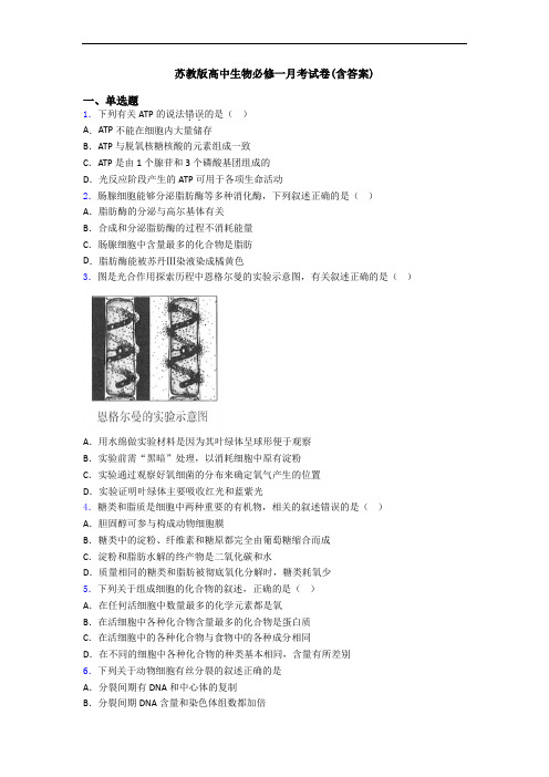 苏教版高中生物必修一月考试卷(含答案)