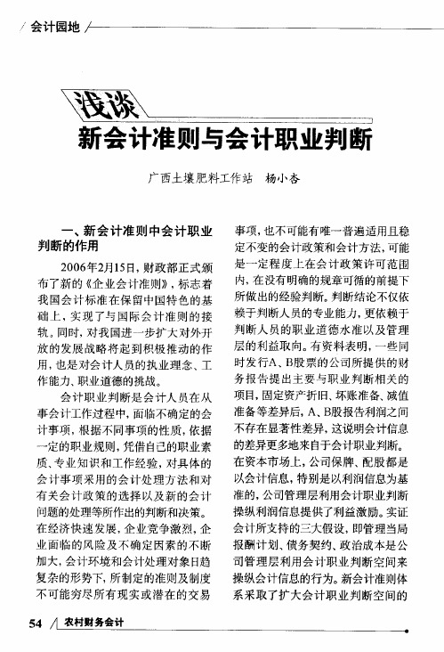 浅谈新会计准则与会计职业判断