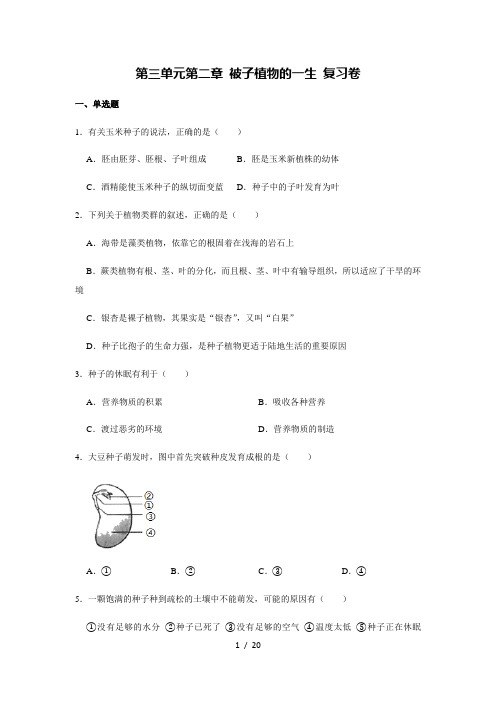 人教版生物七年级上册第三单元 第二章 被子植物的一生 复习卷(解析版)