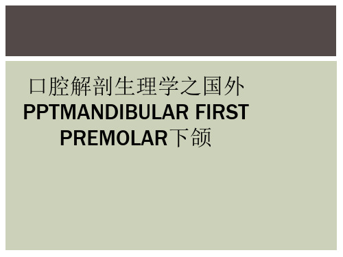 口腔解剖生理学之国外PPTMANDIBULAR FIRST PREMOLAR下颌