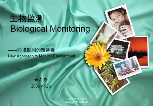 生物监测 Biological Monitoring.ppt