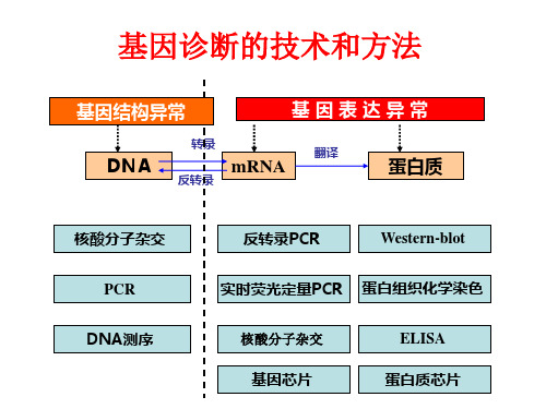 感染性疾病的分子诊断