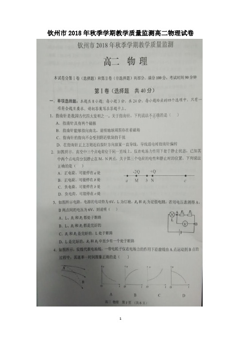广西钦州市2018-2019学年高二上学期期末考试物理试题 扫描版含答案