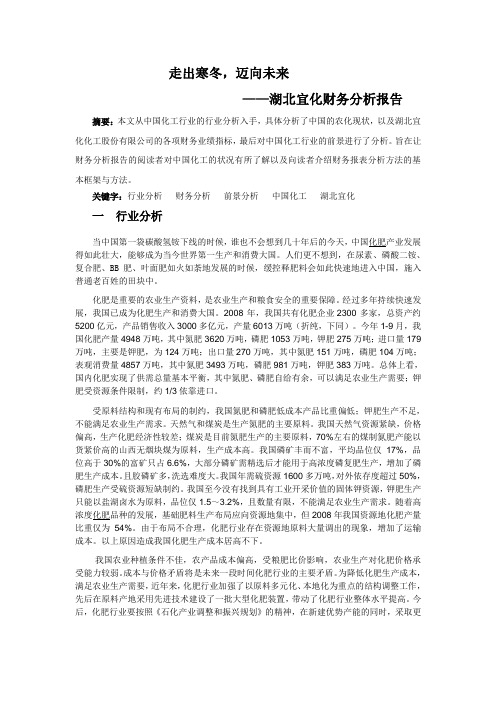 湖北宜化财务分析报告