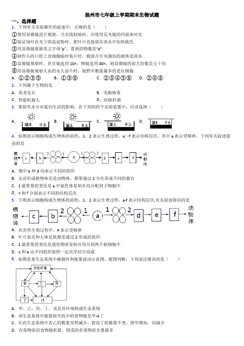 扬州市七年级上学期期末生物试题