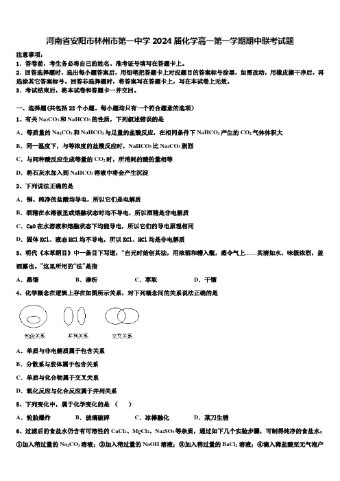 河南省安阳市林州市第一中学2024届化学高一第一学期期中联考试题含解析