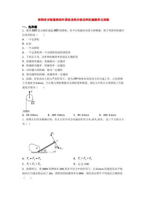 深圳布吉街道深圳外国语龙岗分校功和机械能单元训练