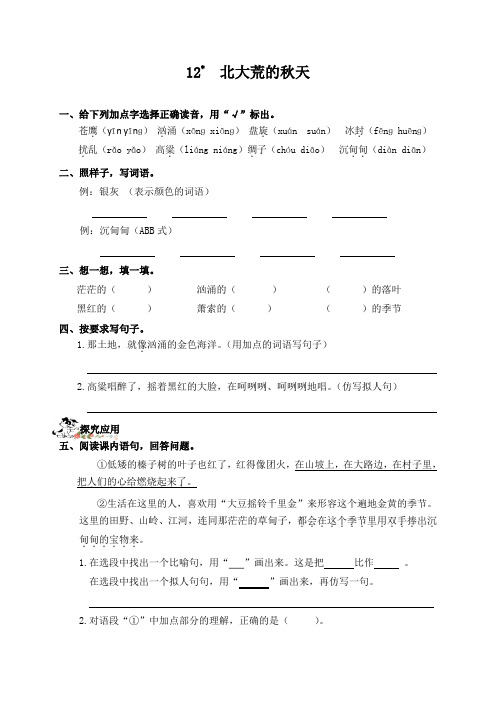 三年级上册语文一课一练：12.北大荒的秋天｜语文S版(含答案)