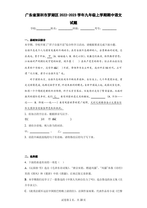 广东省深圳市罗湖区2022-2023学年九年级上学期期中语文试题(含答案)