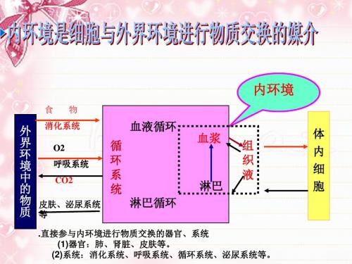 内环境的稳态与调节