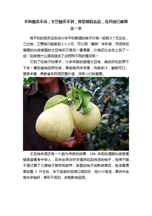 平和柚卖不出，文旦柚买不到，曾是朝庭贡品，没开园已被预定一半