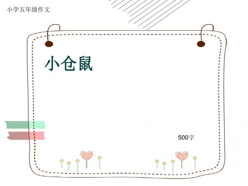小学五年级作文《小仓鼠》500字(共9页PPT)