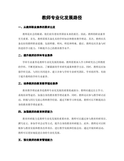 教师专业化发展路径