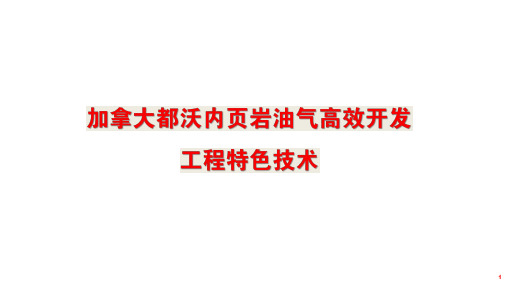 加拿大都沃内页岩油气高效开发工程特色技术