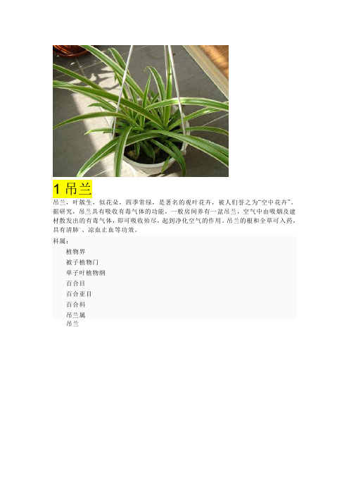 5种植物科属简介