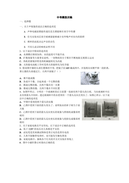 人教版中考物理模拟试题