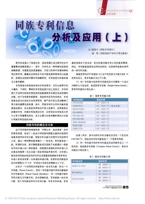 同族专利信息分析及应用_上_赵沛丰