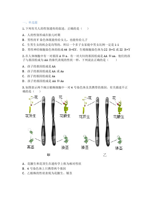 沪教版生物  第3节 基因与人体性状 课后练习题