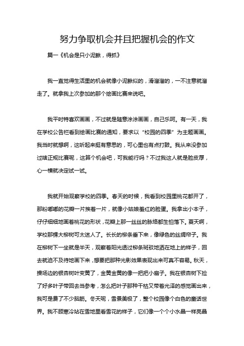 努力争取机会并且把握机会的作文