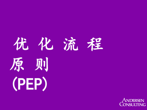 优化流程原则(PEP)p105(埃森哲)优选全文