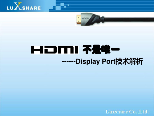 DisplayPort