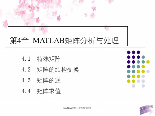 MATLAB矩阵分析及符号运算