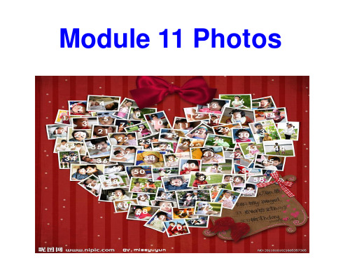 外研版英语九年级上册 Module 11 Unit 1 He’s the boy who won the photo competition last year! (