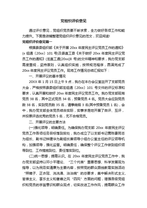 党组织评价意见