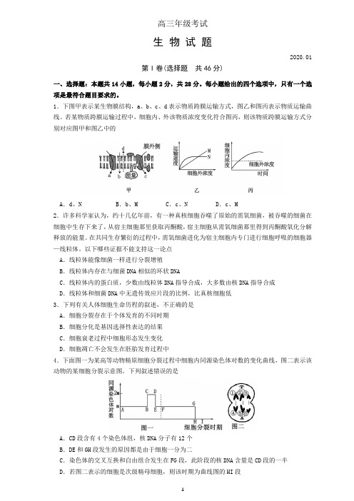山东省泰安市2019-2020学年2020届高三上学期期末考试生物试题及答案