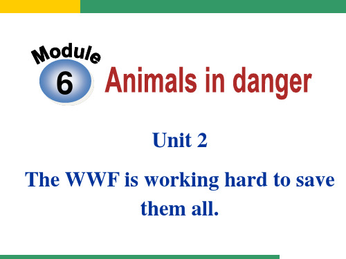 外研版Module 6 Animals in danger Unit 2 The WWF is working hard to save them all.