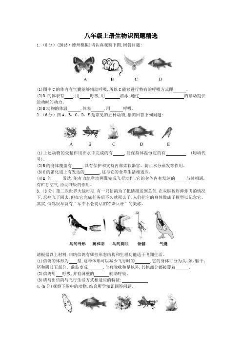 八年级上册生物识图题精选