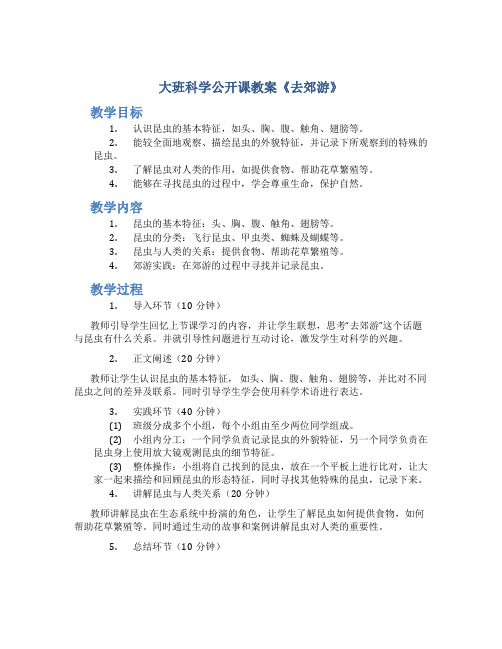 大班科学公开课教案《去郊游》