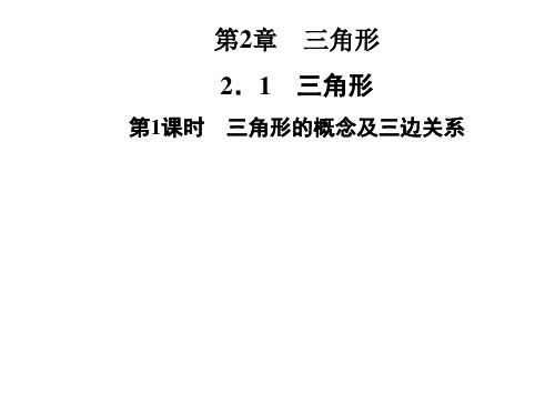 湘教版八年级数学上册第2章 2.1 三角形 第1课时 三角形的概念及三边关系