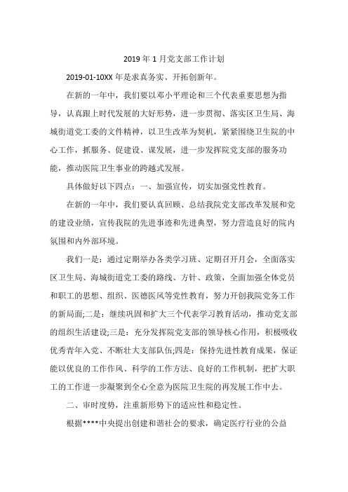 2019年1月党支部工作计划