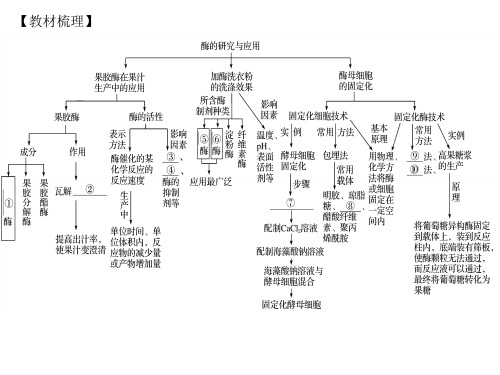 酶的研究与应用复习与测试.pptx