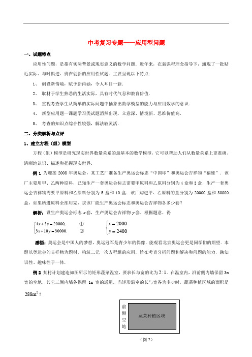 新课标九年级数学中考复习强效提升分数精华版复习专题——应用型问题