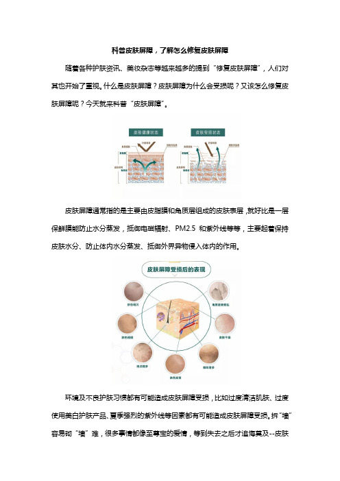 科普皮肤屏障,了解怎么修复皮肤屏障