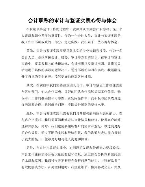 会计职称的审计与鉴证实践心得与体会