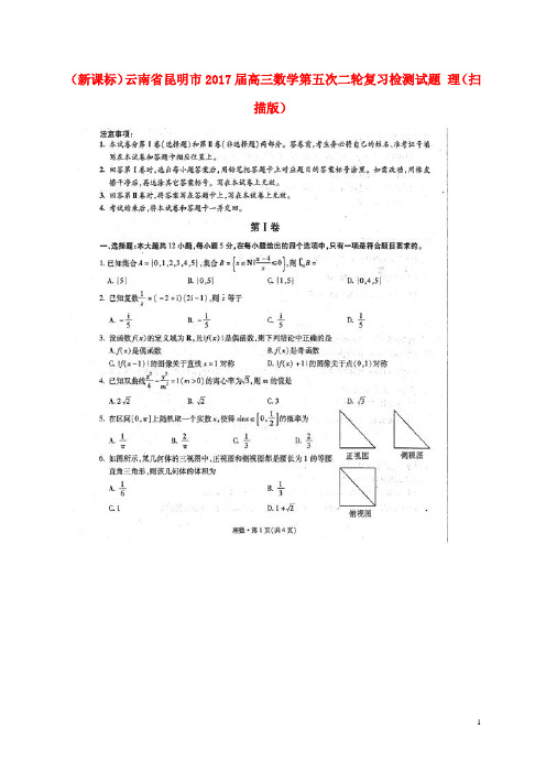 云南省昆明市高三数学第五次二轮复习检测试题 理(扫描版)